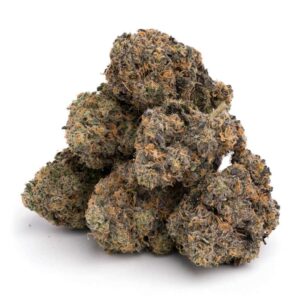 Thuis 43 Bruce Banner #3 – Extreem Potente Hybride