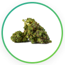 Thuis 10 Cannabis
